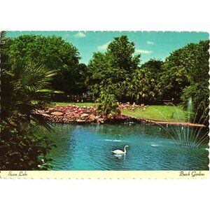 Vintage 1972 Busch Gardens Swan Lake Postcard Dextar Supreme